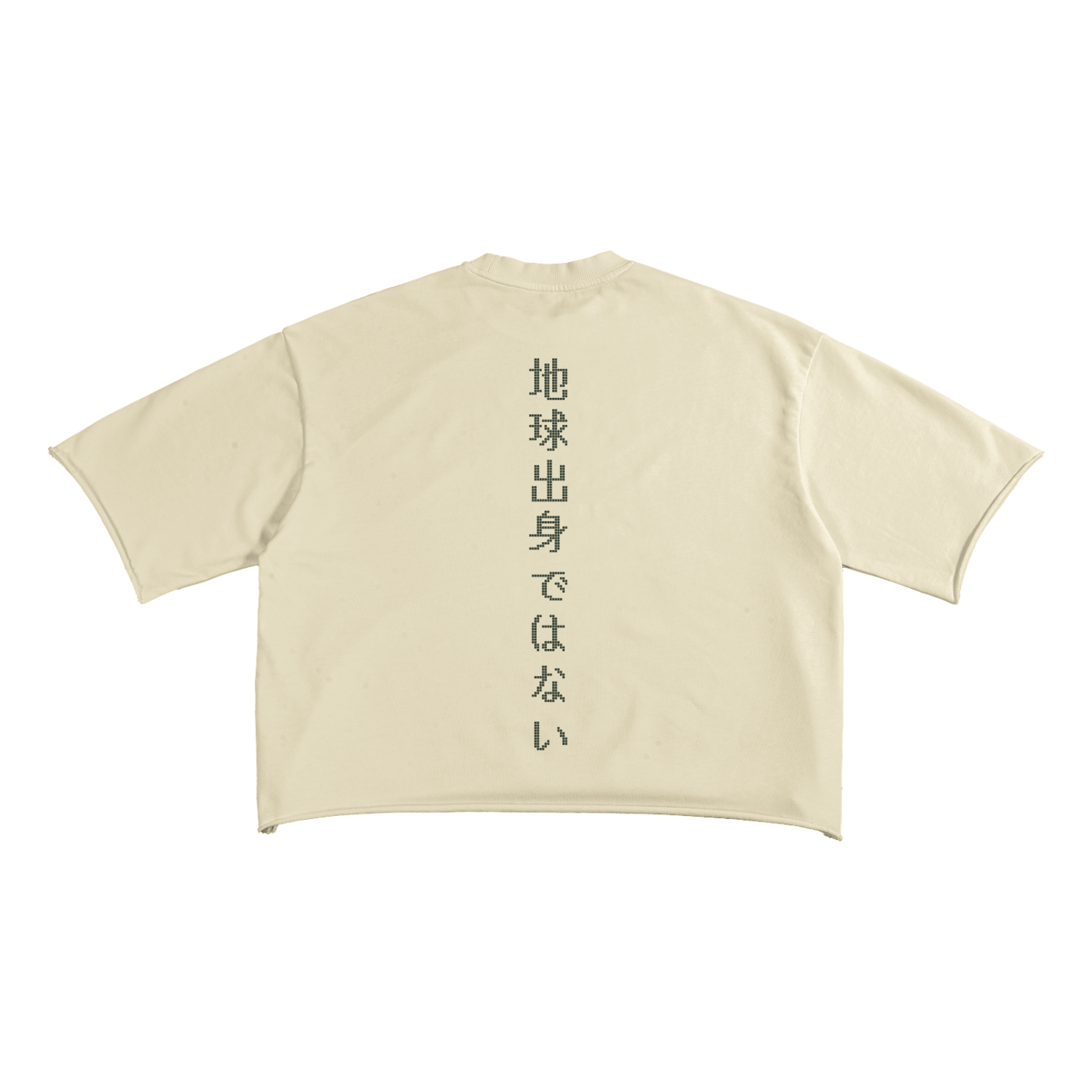 NFE French Terry T