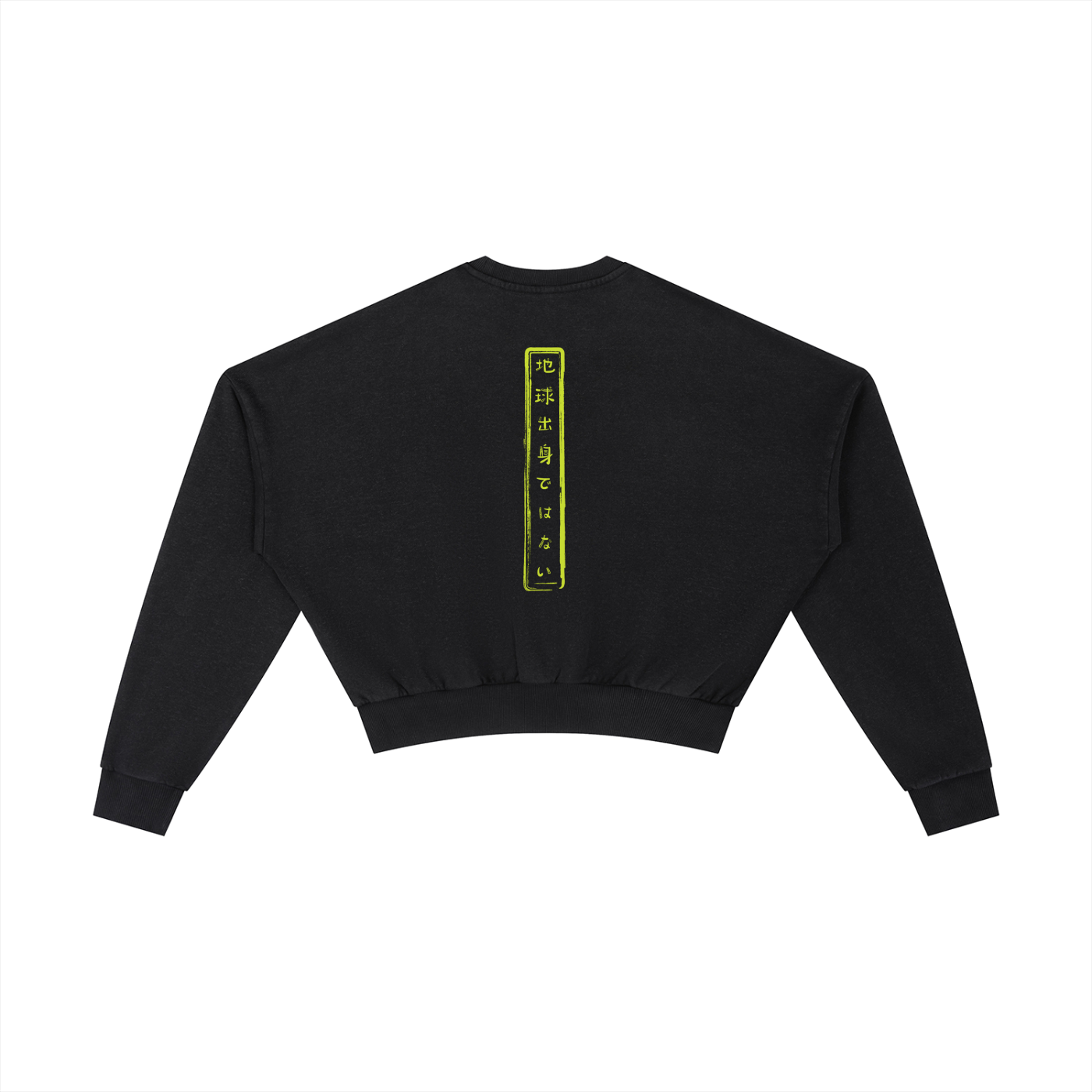 Vintage Washed Cropped Sweatshirt