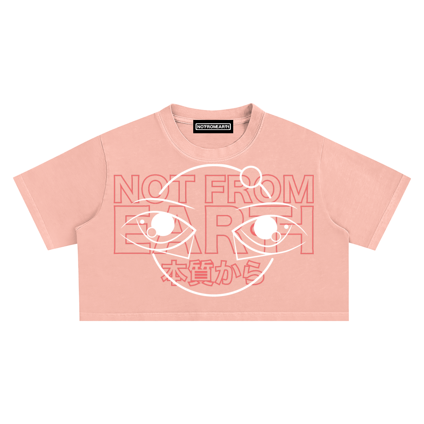 Snow Washed Crop Top