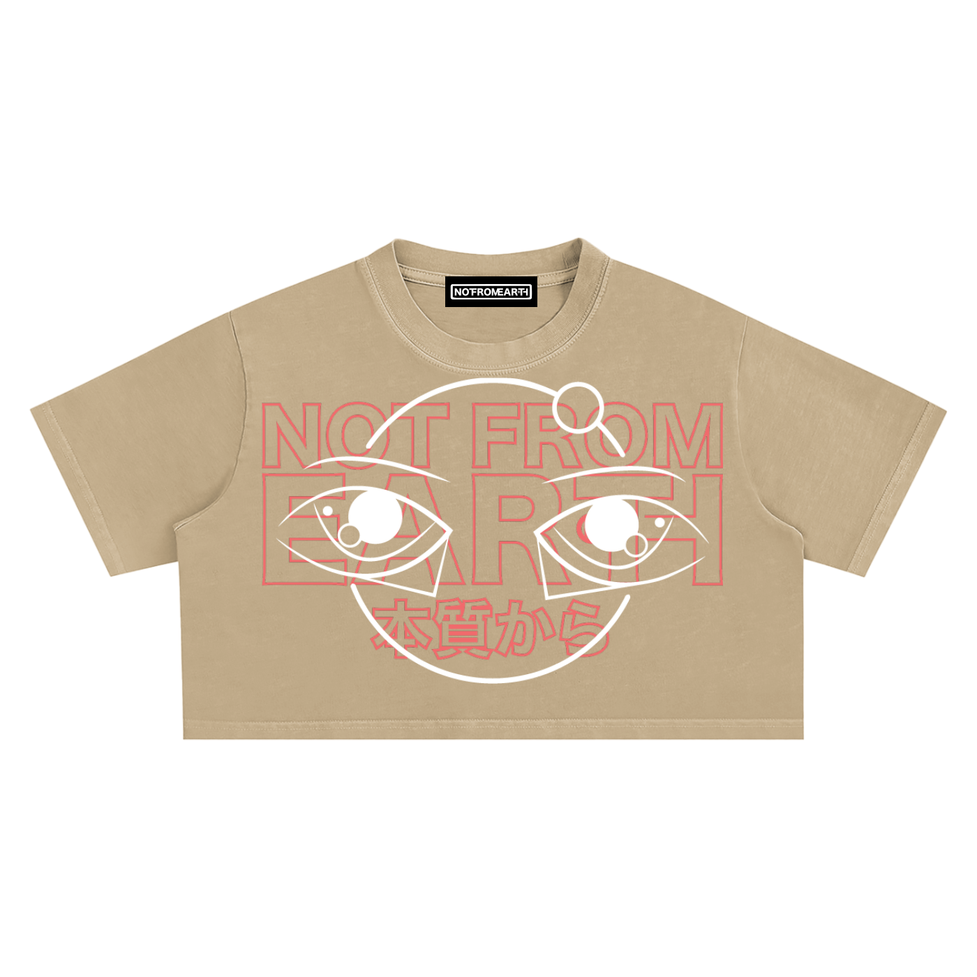 Snow Washed Crop Top