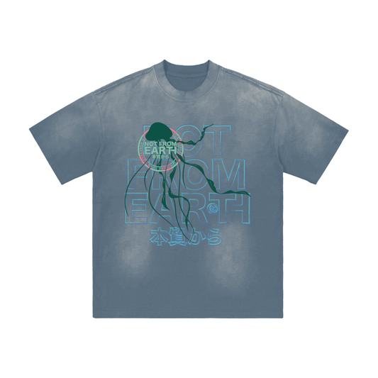 Hand-Frayed Sunfade T-Shirt
